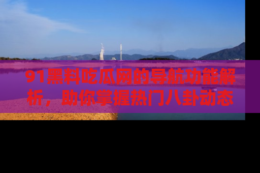 91黑料吃瓜网的导航功能解析,助你掌握热门八卦动态