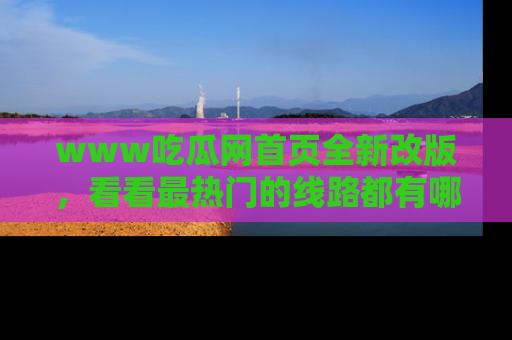 www吃瓜网首页全新改版，看看最热门的线路都有哪些！