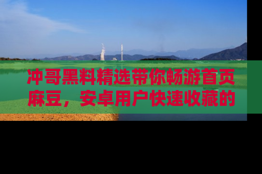 冲哥黑料精选带你畅游首页麻豆，安卓用户快速收藏的秘密武器！