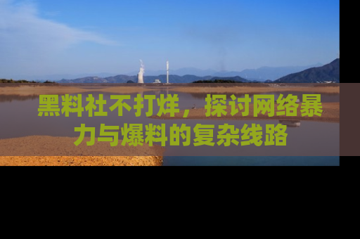 黑料社不打烊，探讨网络暴力与爆料的复杂线路