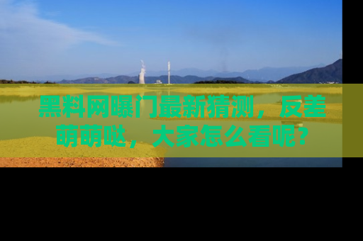 黑料网曝门最新猜测，反差萌萌哒，大家怎么看呢？