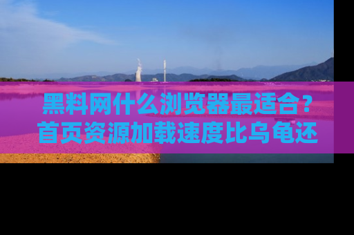 黑料网什么浏览器最适合？首页资源加载速度比乌龟还慢的体验真心吐槽！
