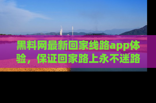 黑料网最新回家线路app体验，保证回家路上永不迷路顺畅