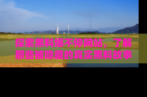 探索黑料爆不停网站，了解那些被隐藏的真实黑料故事