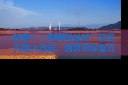 哇塞!“黑网料最新”劲爆内容大放送,首页带你全方位了解哦,小可爱们