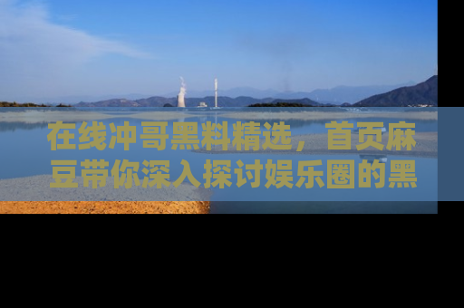 在线冲哥黑料精选,首页麻豆带你深入探讨娱乐圈的黑暗面