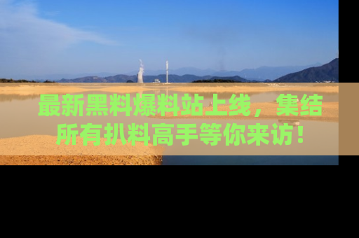 最新黑料爆料站上线，集结所有扒料高手等你来访！